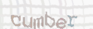 CAPTCHA image for SPAM prevention 